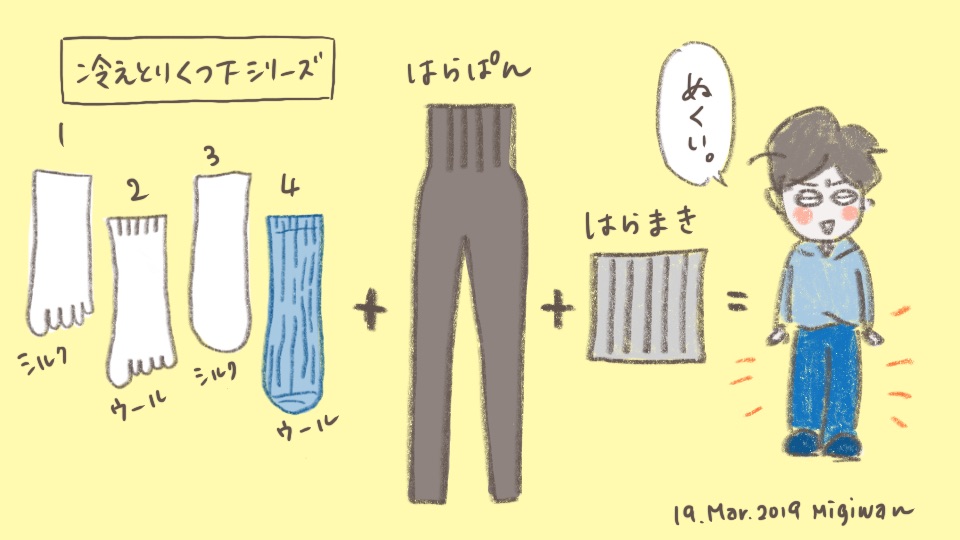 f:id:migiwaaan:20190319085458j:plain
